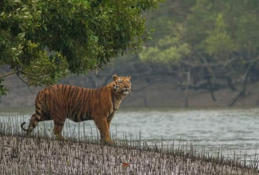 fe33bf38 a426 4987 8e7b 282ba29b8d60